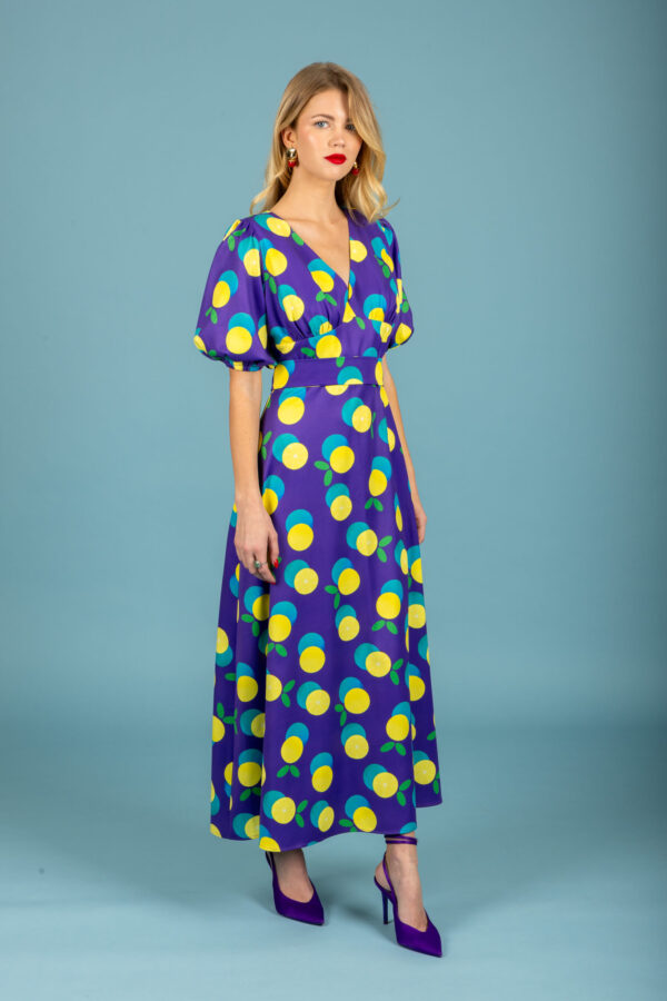 Diego sleeve dress