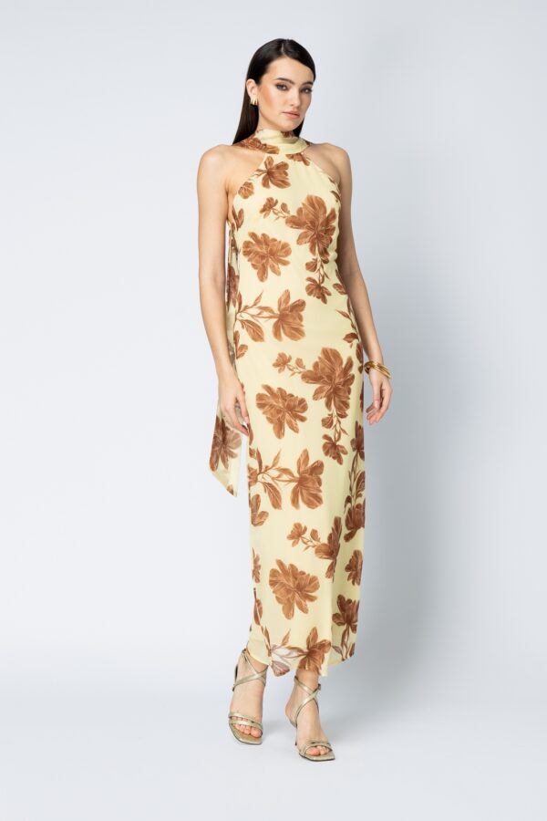 Sienne Dress