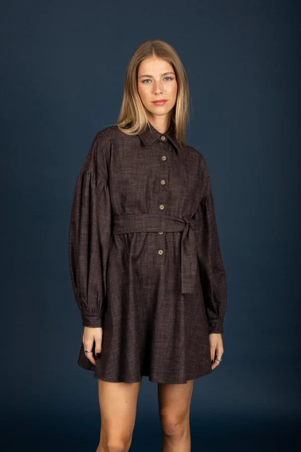 Daphne denim dress (Brown)